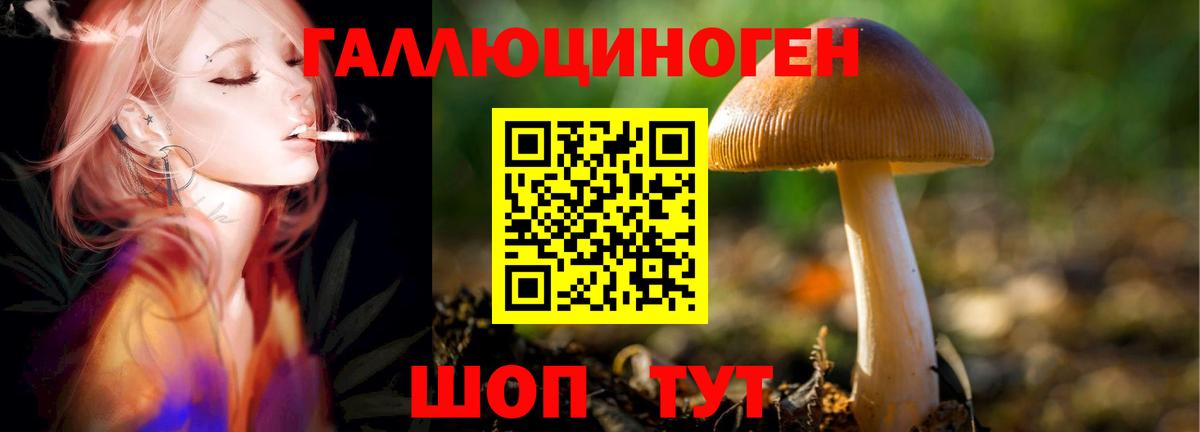 Псилоцибиновые грибы ЛСД Кубинка